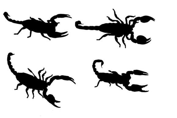 Scorpion-SVG Silhouette File for Crafts and Graphics